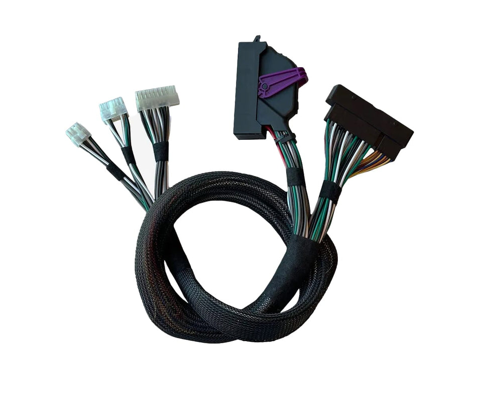 BB OEM CABLES - Ford Capri Bang Olufsen kabelsett
