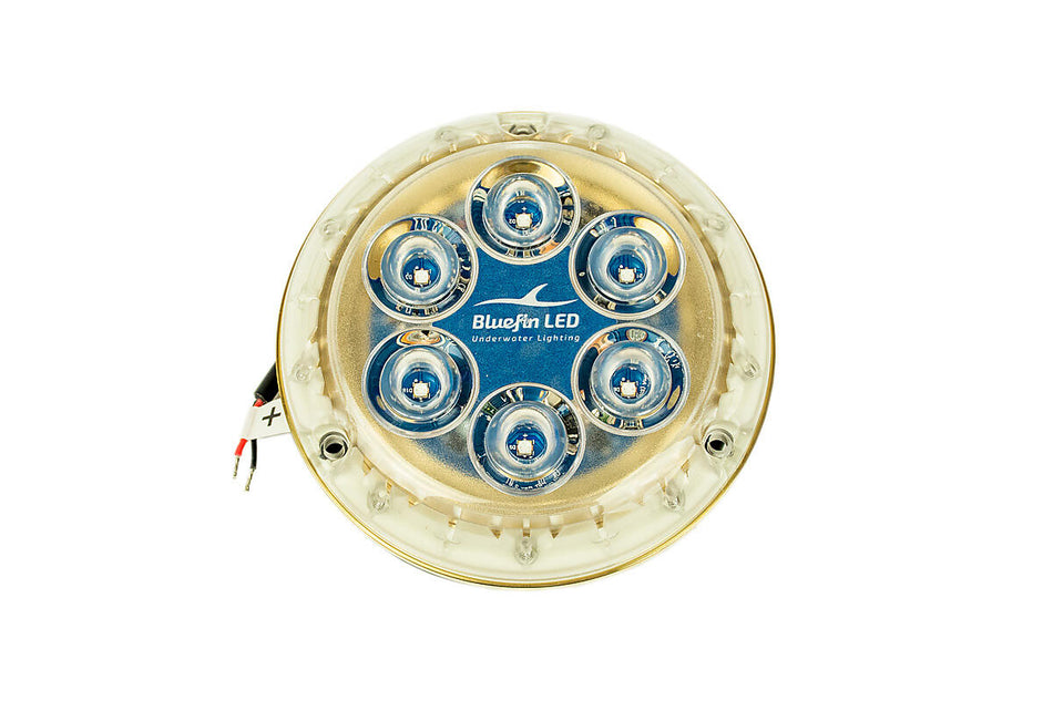 Piranha P12 SM Cobalt Blue 12/24V