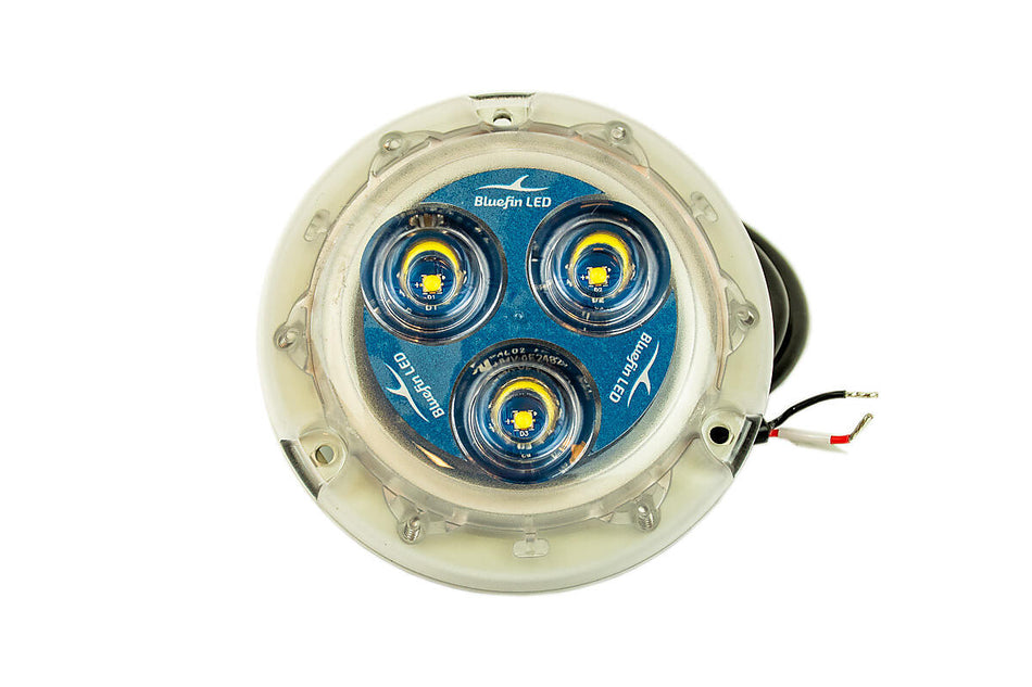 Piranha P3 SM Drive Light Diamond White