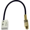 CAS Videoadapter